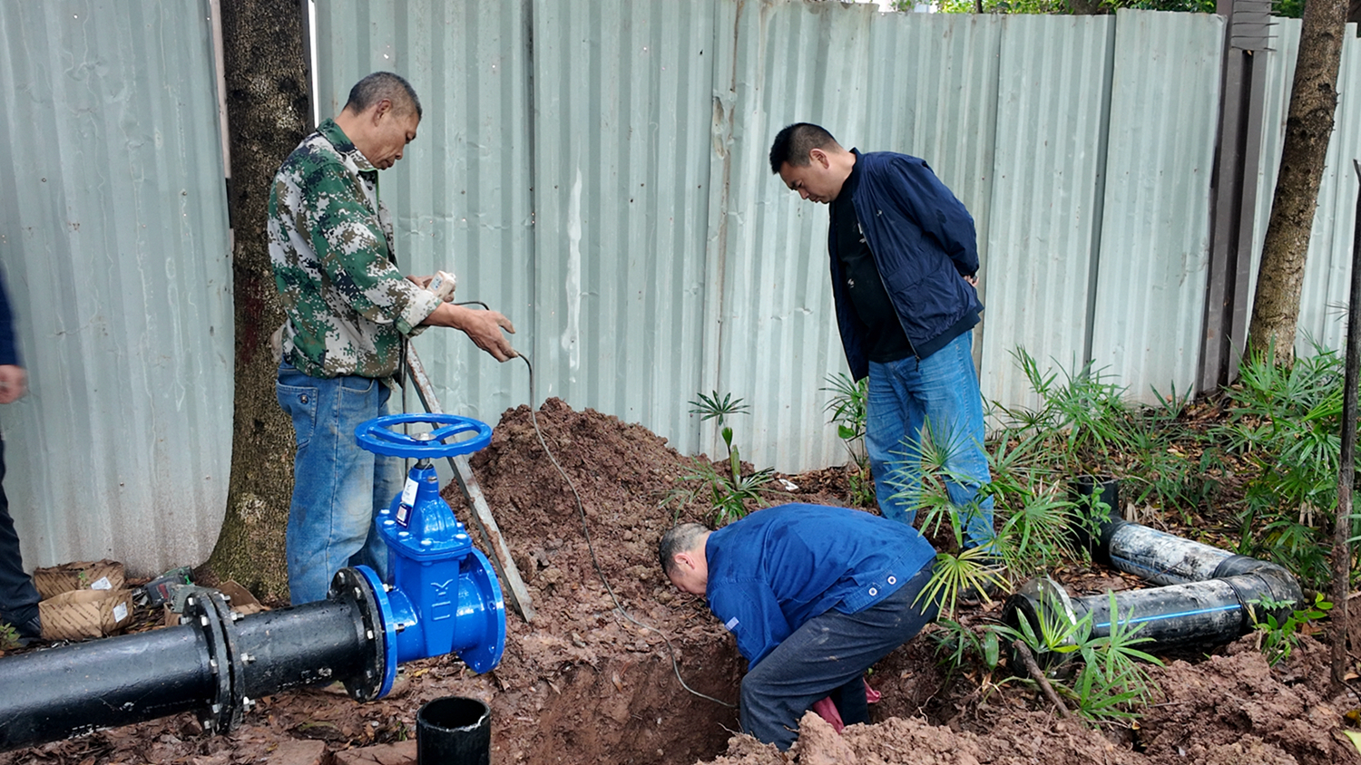 微信图片_20250428090932